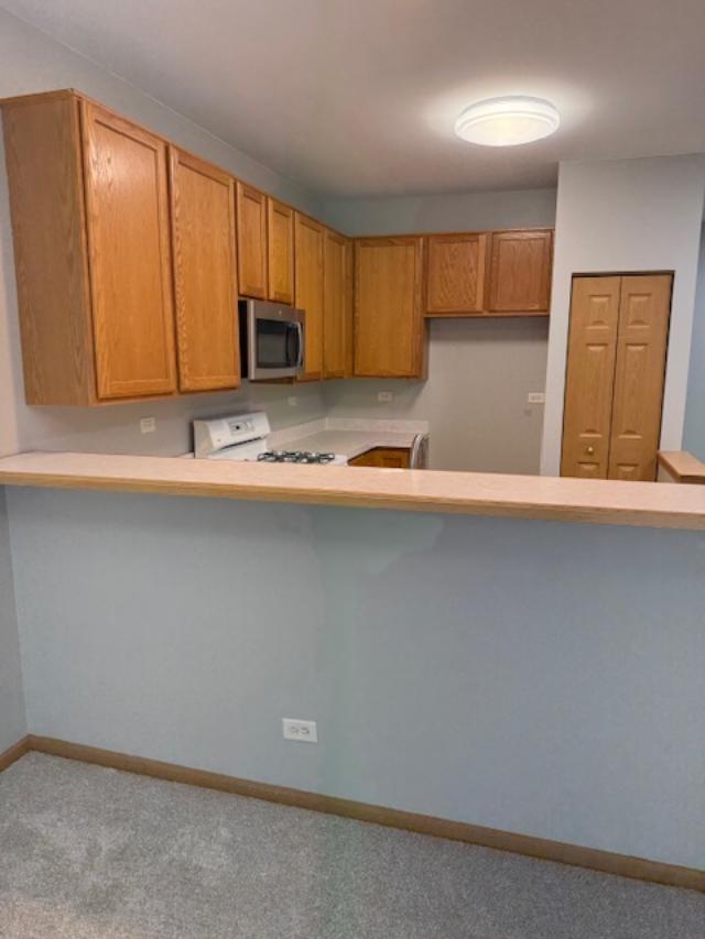1207 Brookdale Drive, Carpentersville, IL 60110