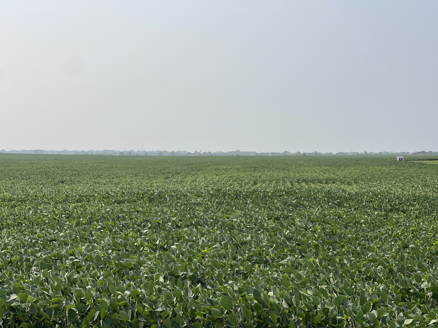 000 W Baker Road, Manhattan, IL 60442