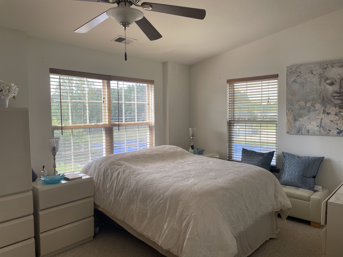 606 N Triumph Court, Hainesville, IL 60073