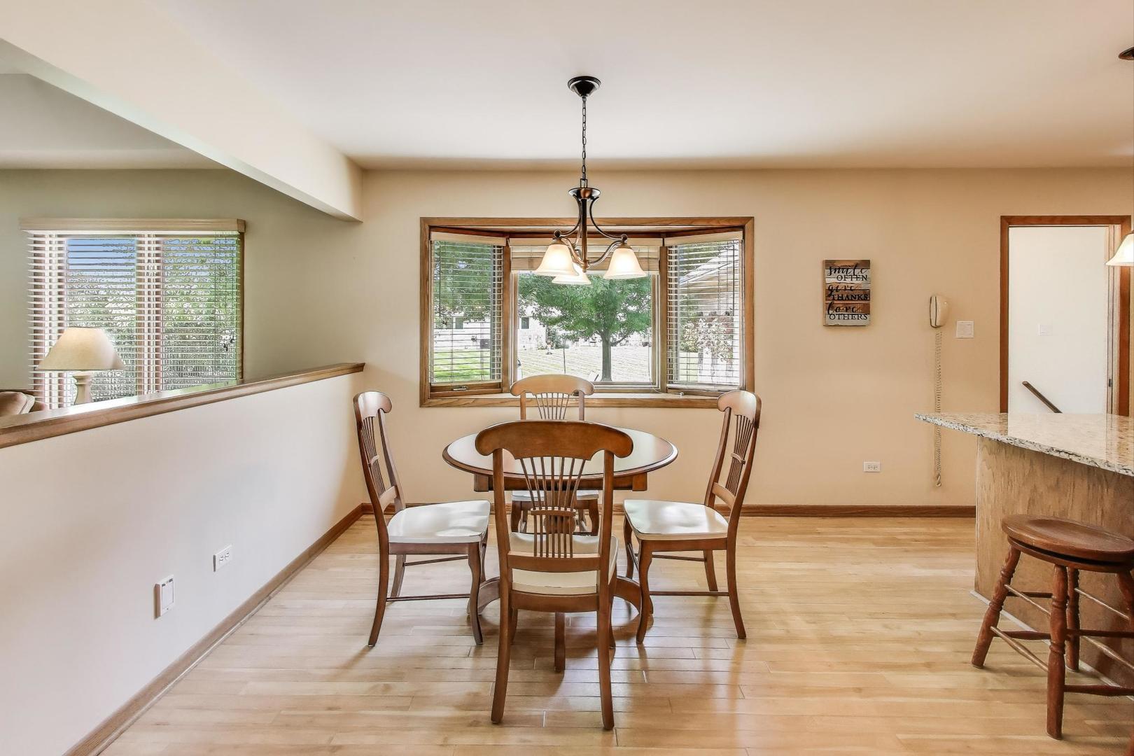 17558 Sean Drive, Orland Park, IL 60467