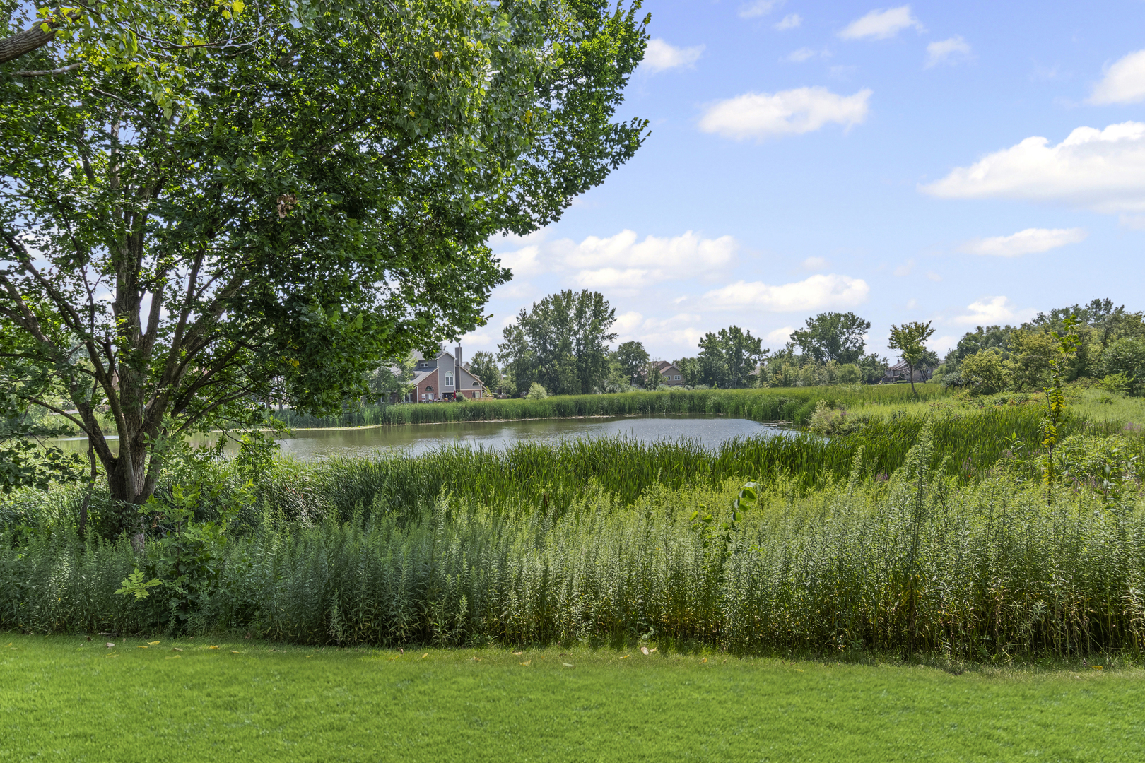 7913 Stewart Drive, Darien, IL 60561