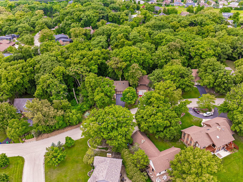 16208 S Pin Oak Court, Homer Glen, IL 60491