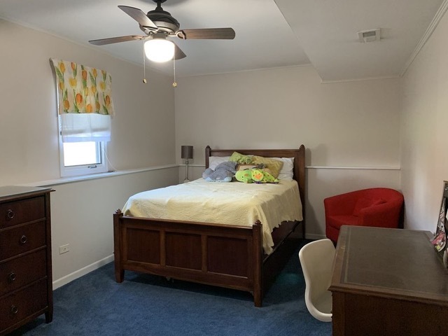 7213 Bateman Street, Downers Grove, IL 60516