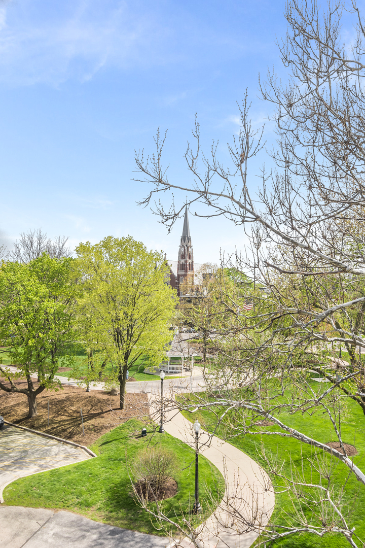 110 S Washington Street #203, Naperville, IL 60540