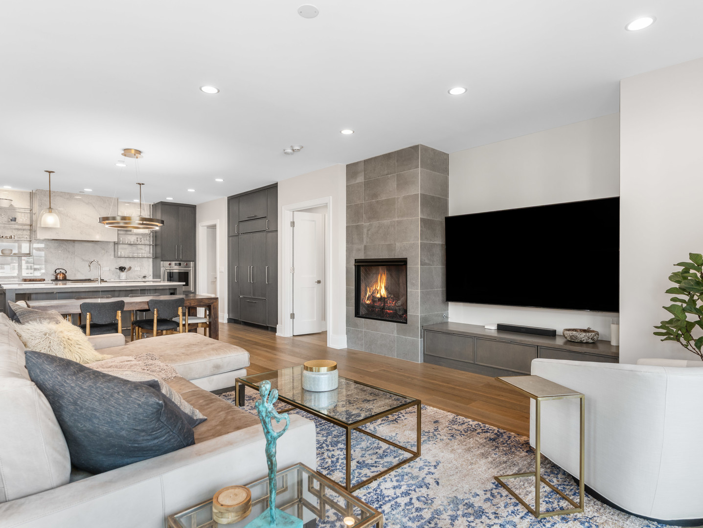 110 S Washington Street #203, Naperville, IL 60540