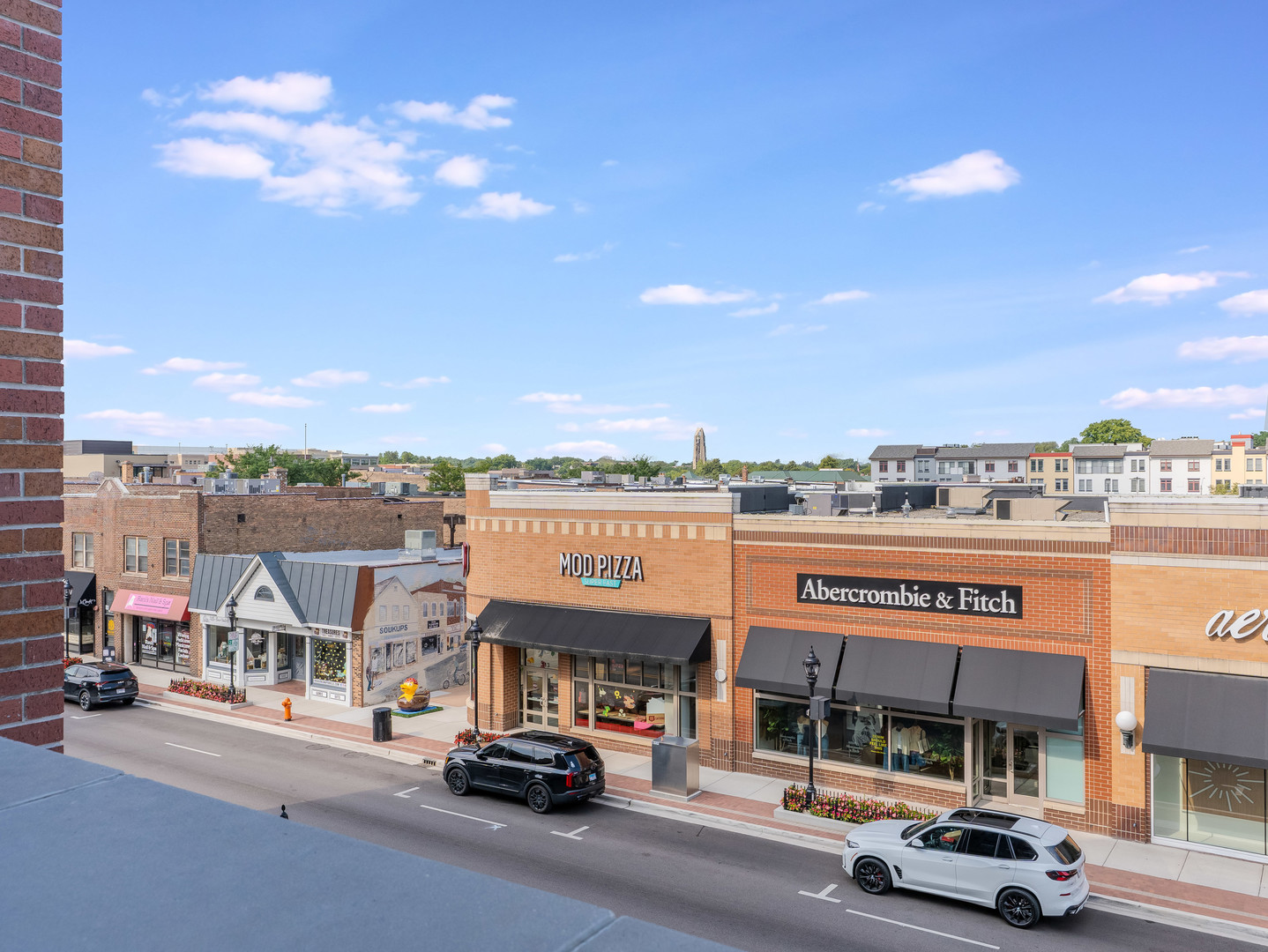 110 S Washington Street #203, Naperville, IL 60540
