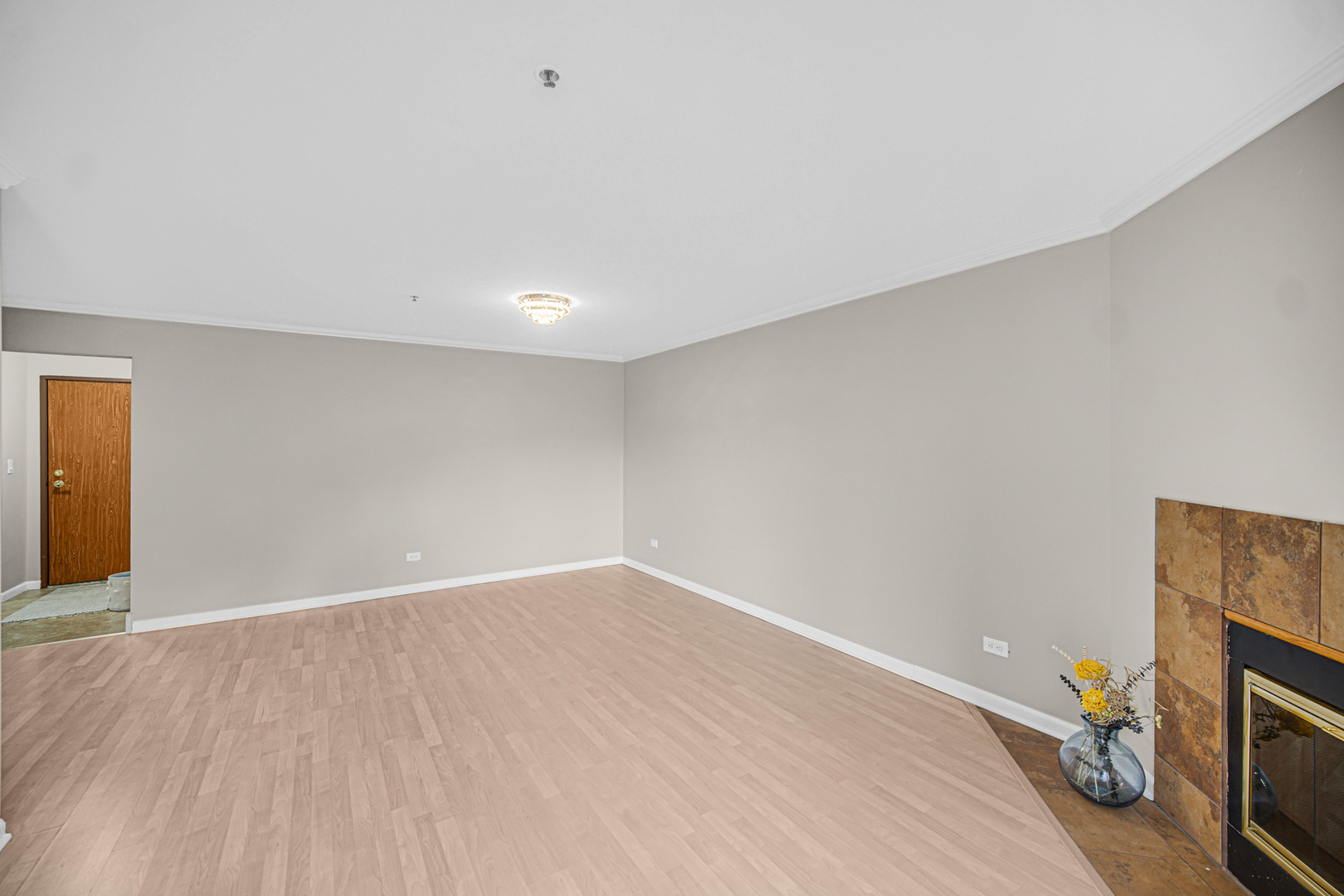 611 Hapsfield Lane #202, Buffalo Grove, IL 60089