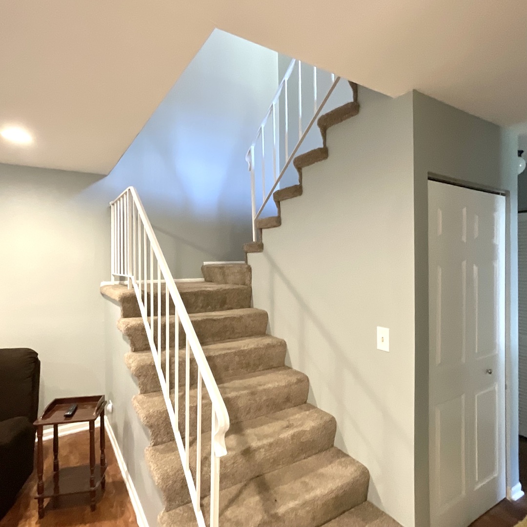 25 Fernwood Drive #25P, Bolingbrook, IL 60440