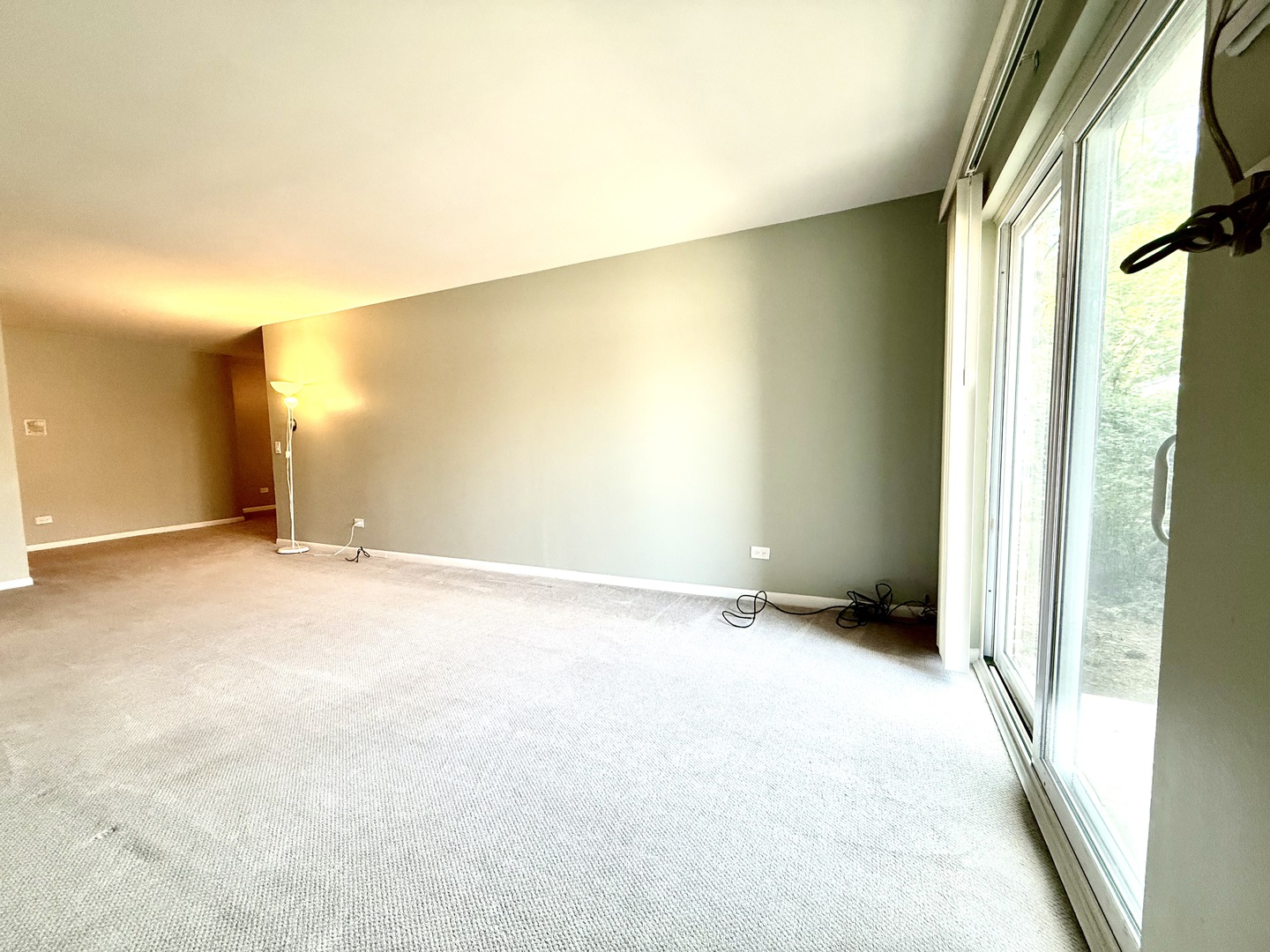 2343 OGDEN Avenue #1, Downers Grove, IL 60515