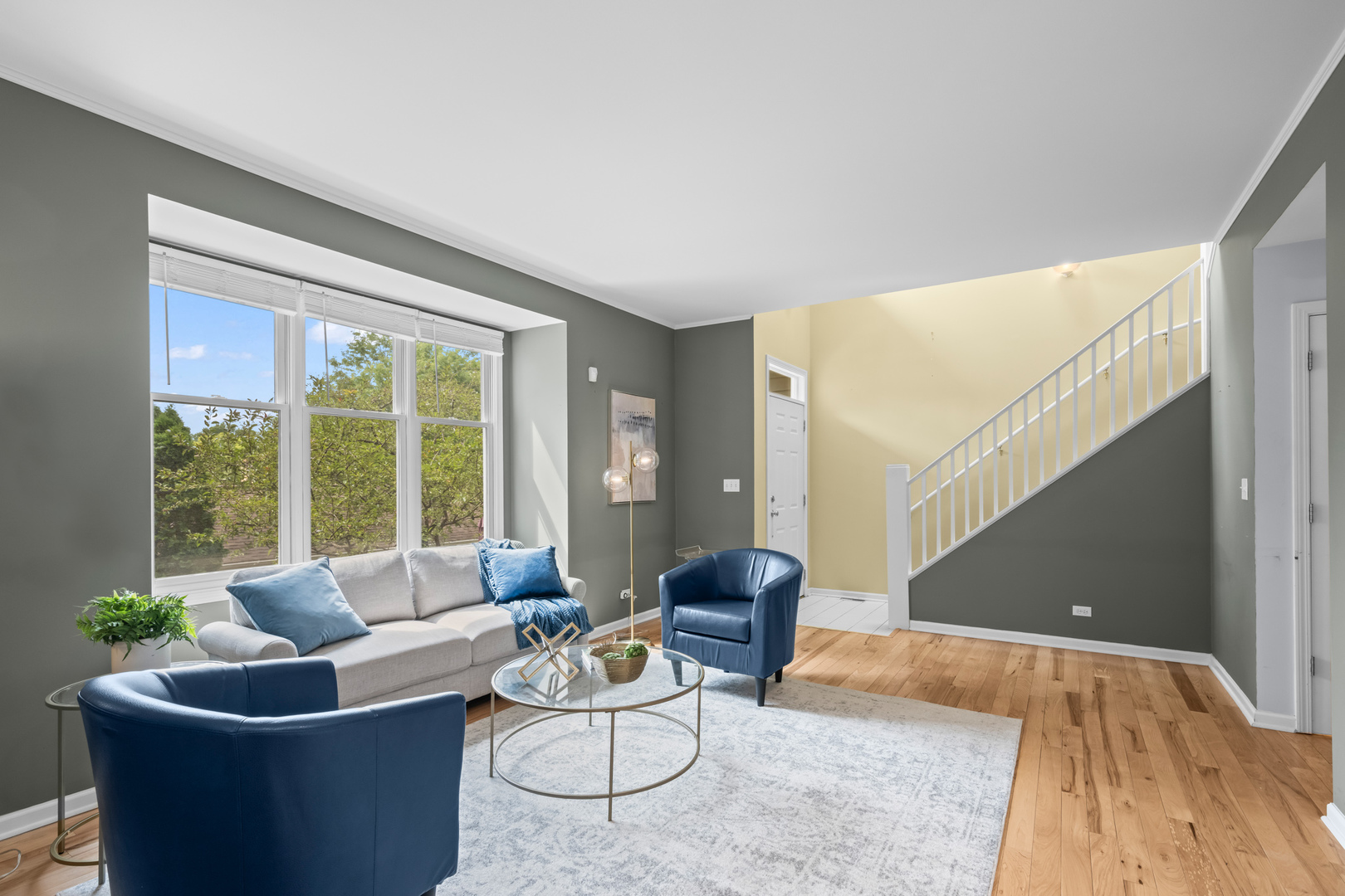 238 N Village Court, Palatine, IL 60067