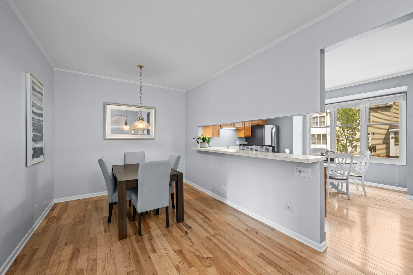 238 N Village Court, Palatine, IL 60067
