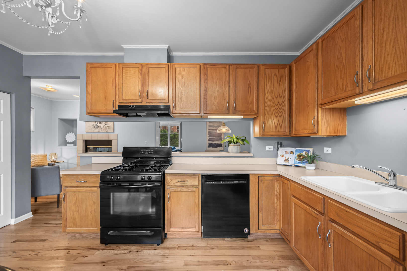 238 N Village Court, Palatine, IL 60067
