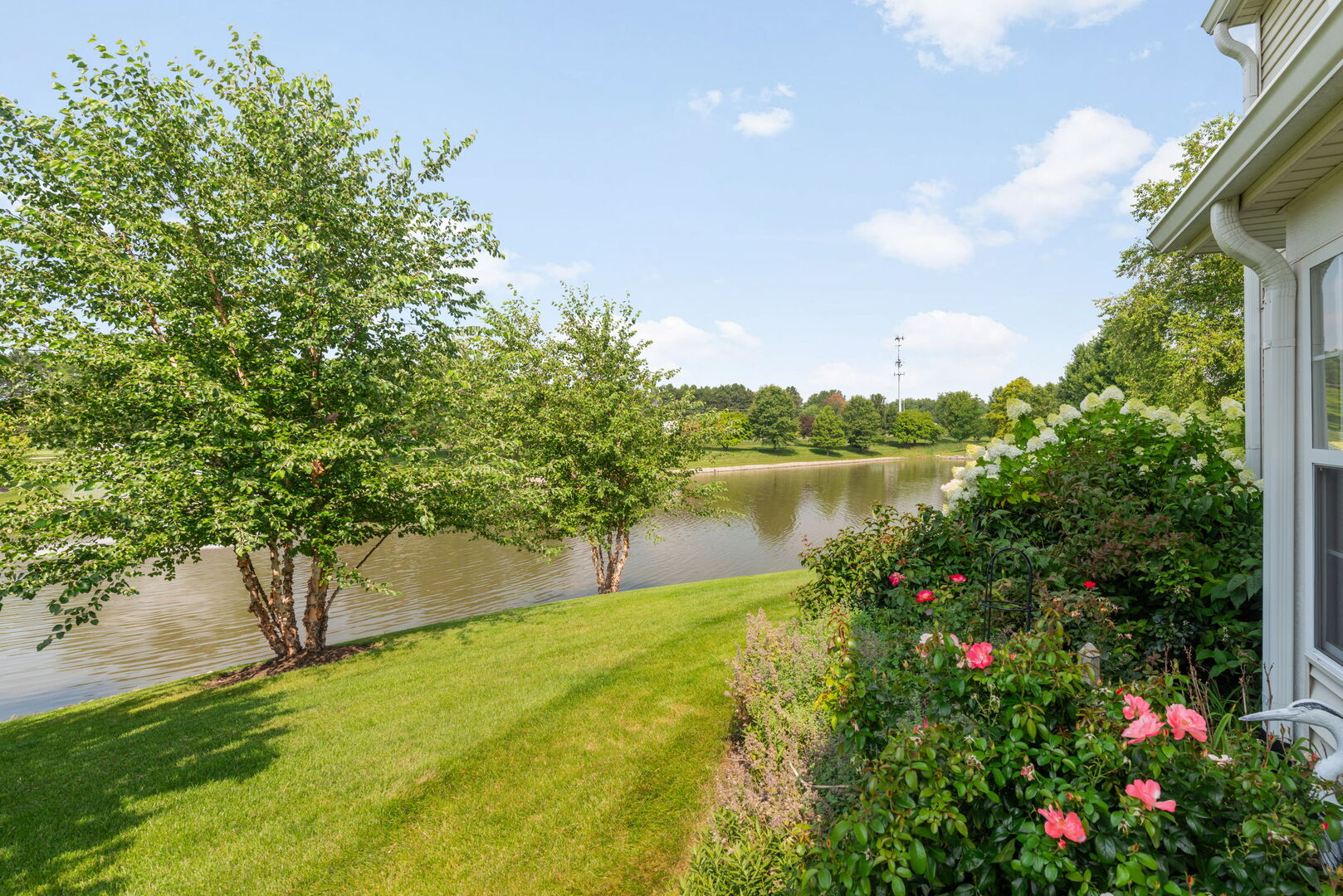 2503 Sheehan Drive #104, Naperville, IL 60564