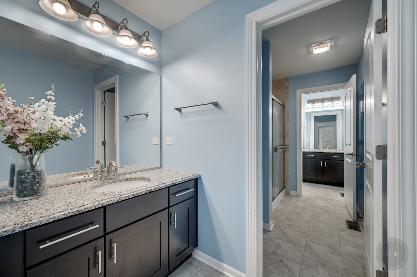 3907 Nannyberry Street, Naperville, IL 60564