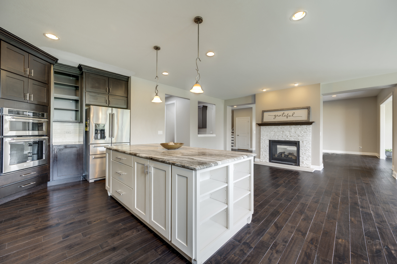 3907 Nannyberry Street, Naperville, IL 60564