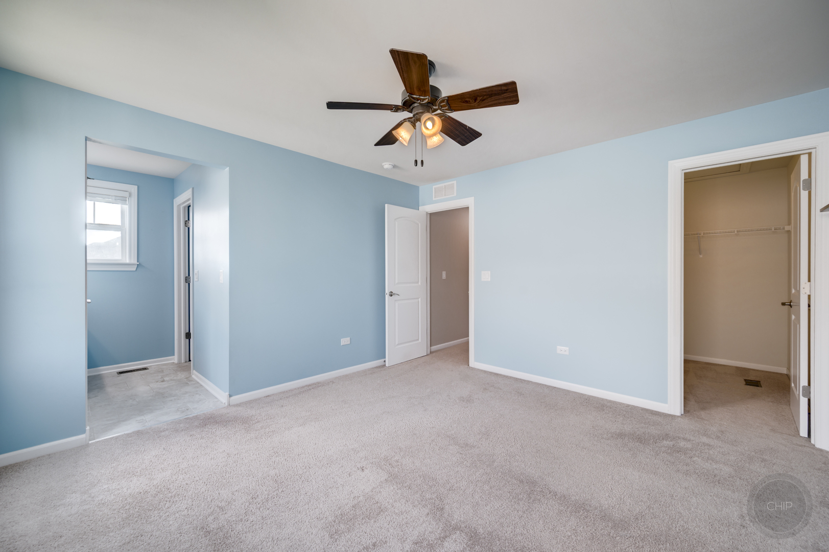 3907 Nannyberry Street, Naperville, IL 60564