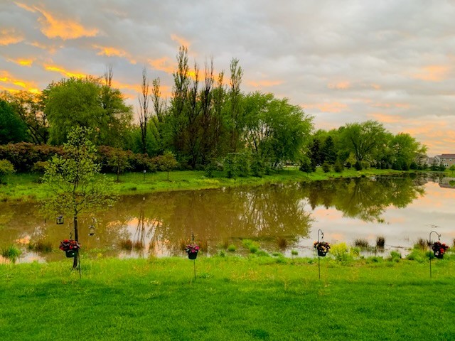 3907 Nannyberry Street, Naperville, IL 60564