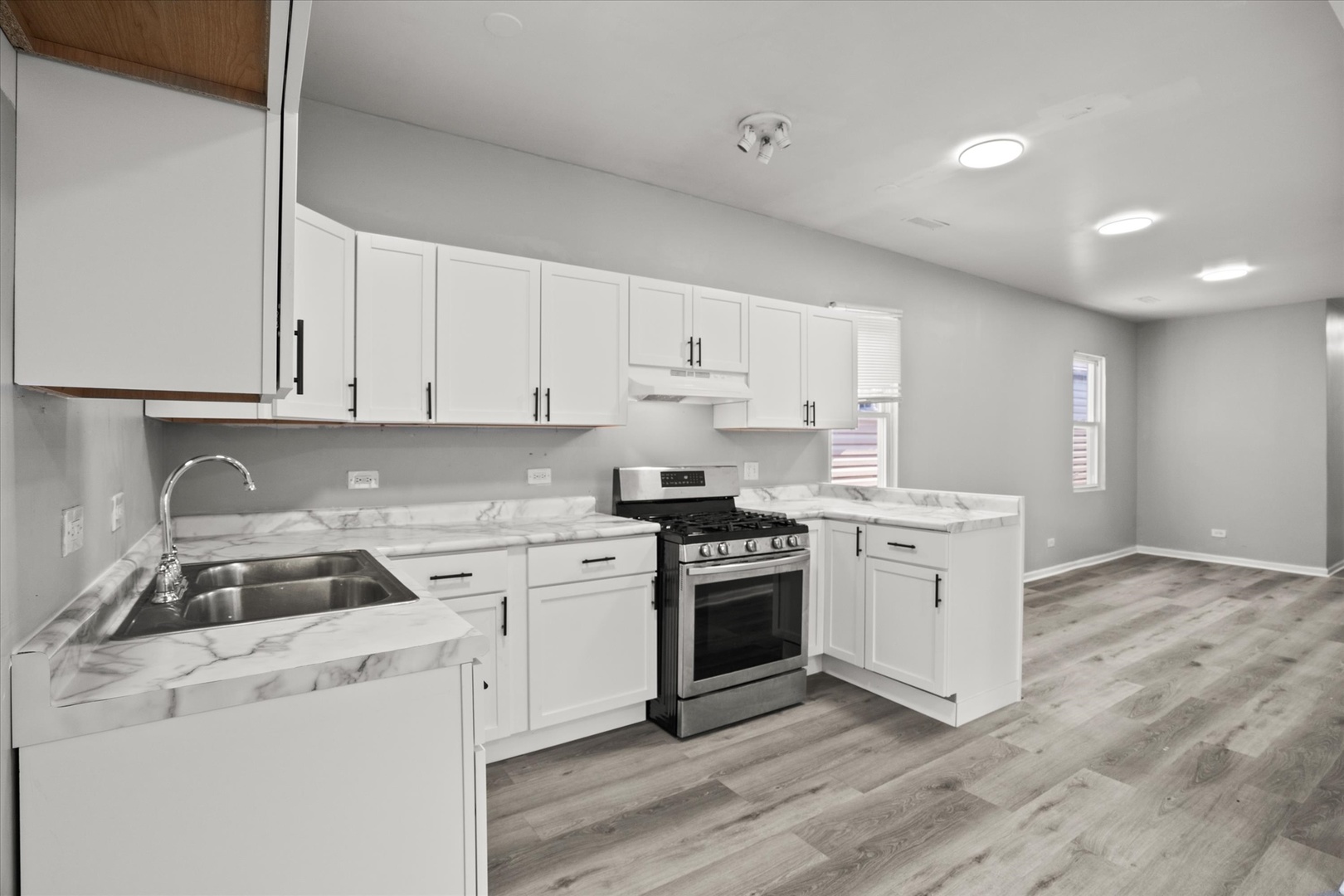 4731 S Laflin Street #2, Chicago, IL 60609
