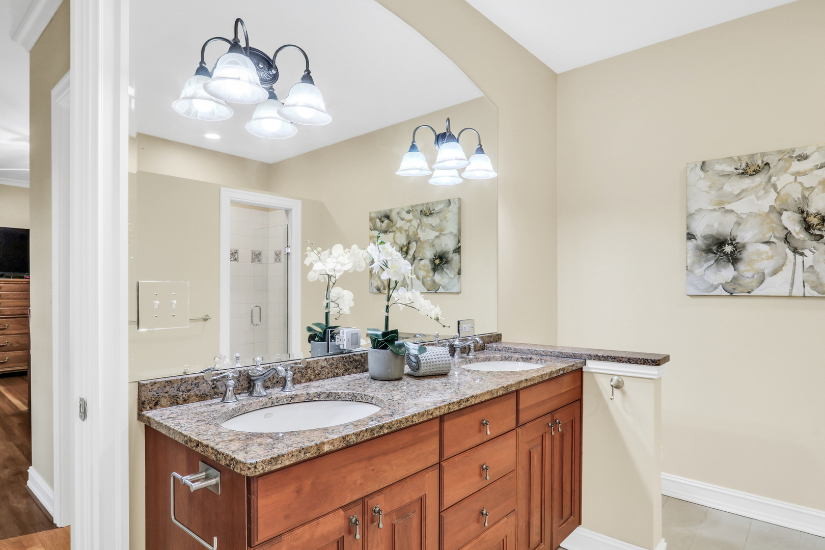 5684 Wolf Road, Western Springs, IL 60558