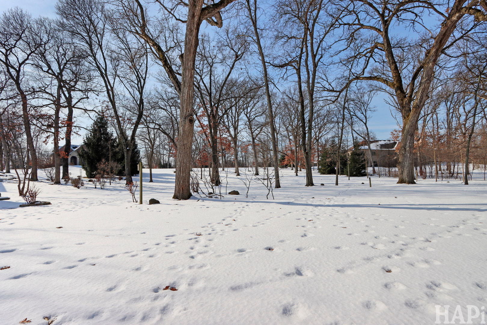 9436 Bellaire Lane, Spring Grove, IL 60081