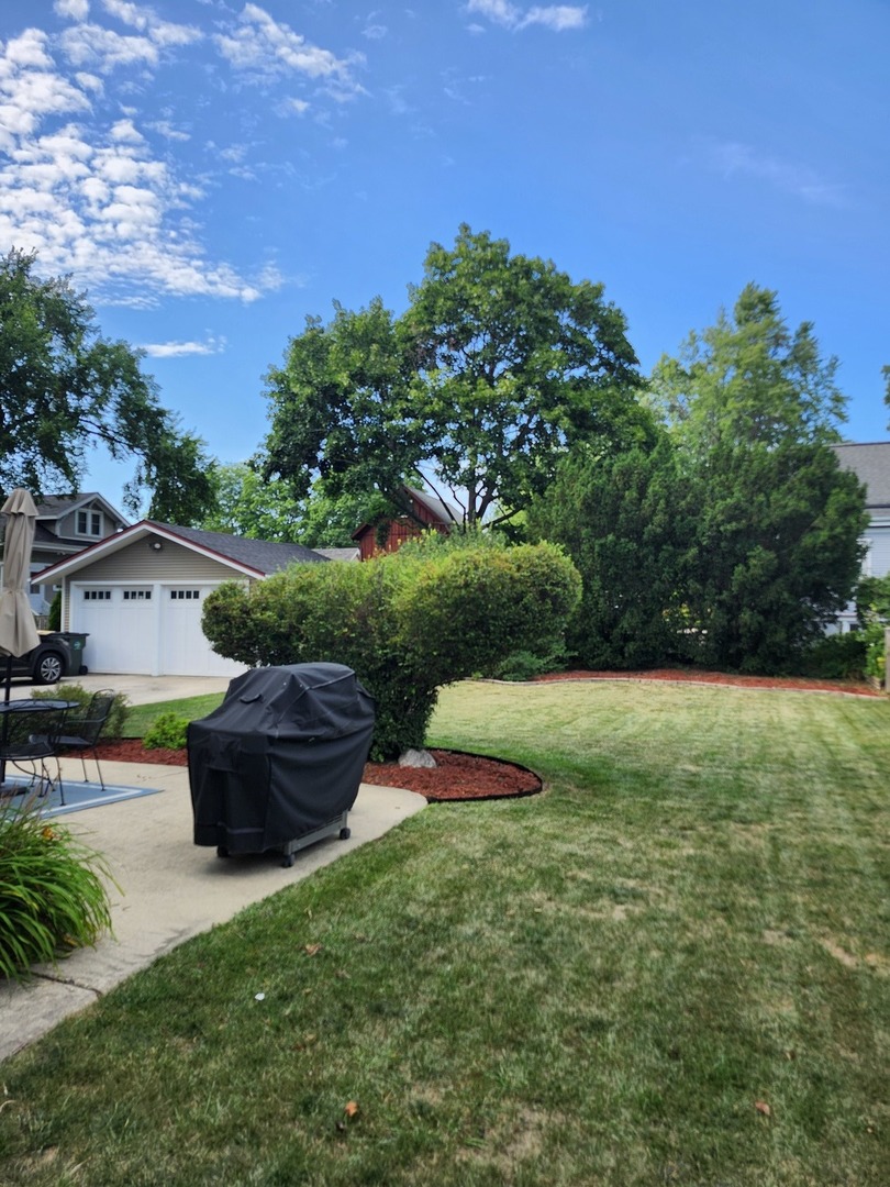 18 E Wood Street, Palatine, IL 60067
