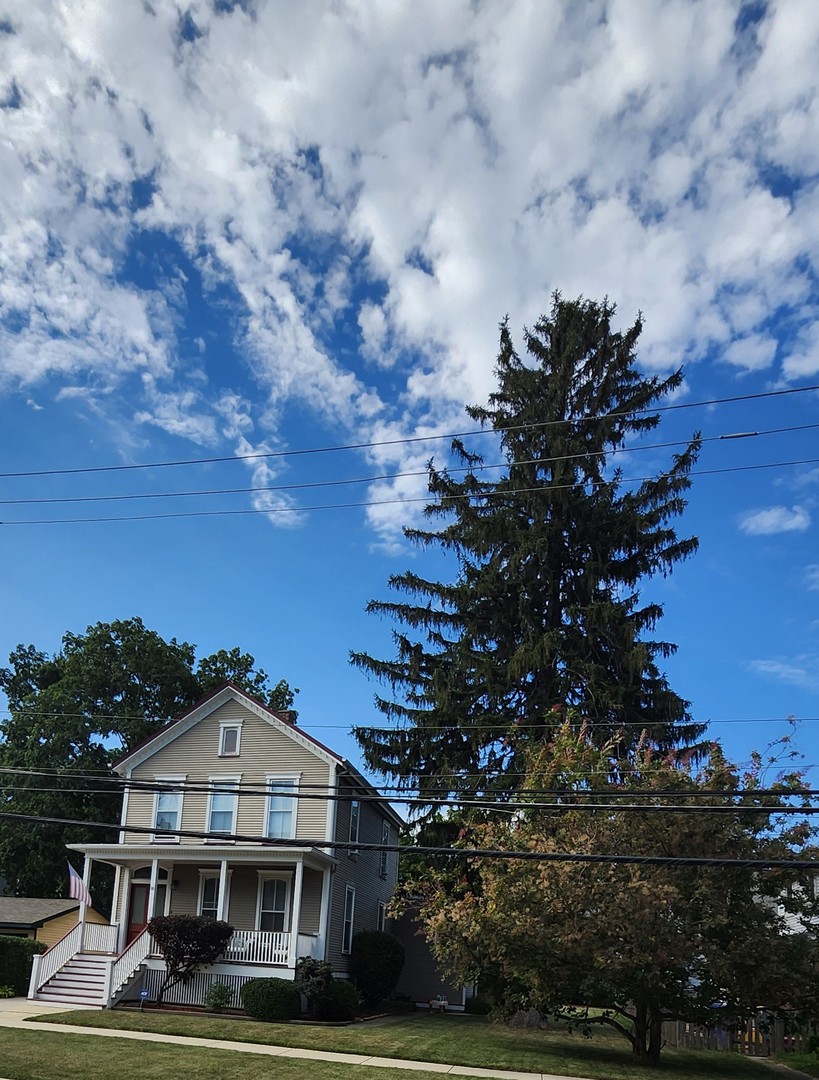 18 E Wood Street, Palatine, IL 60067