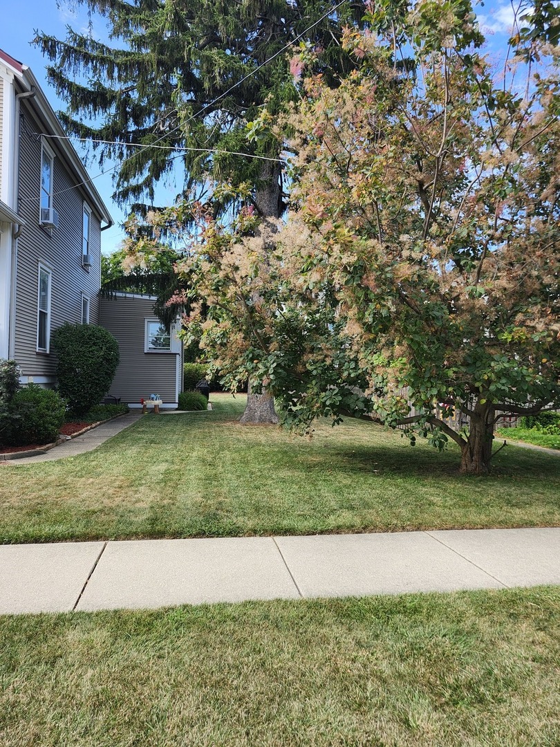 18 E Wood Street, Palatine, IL 60067