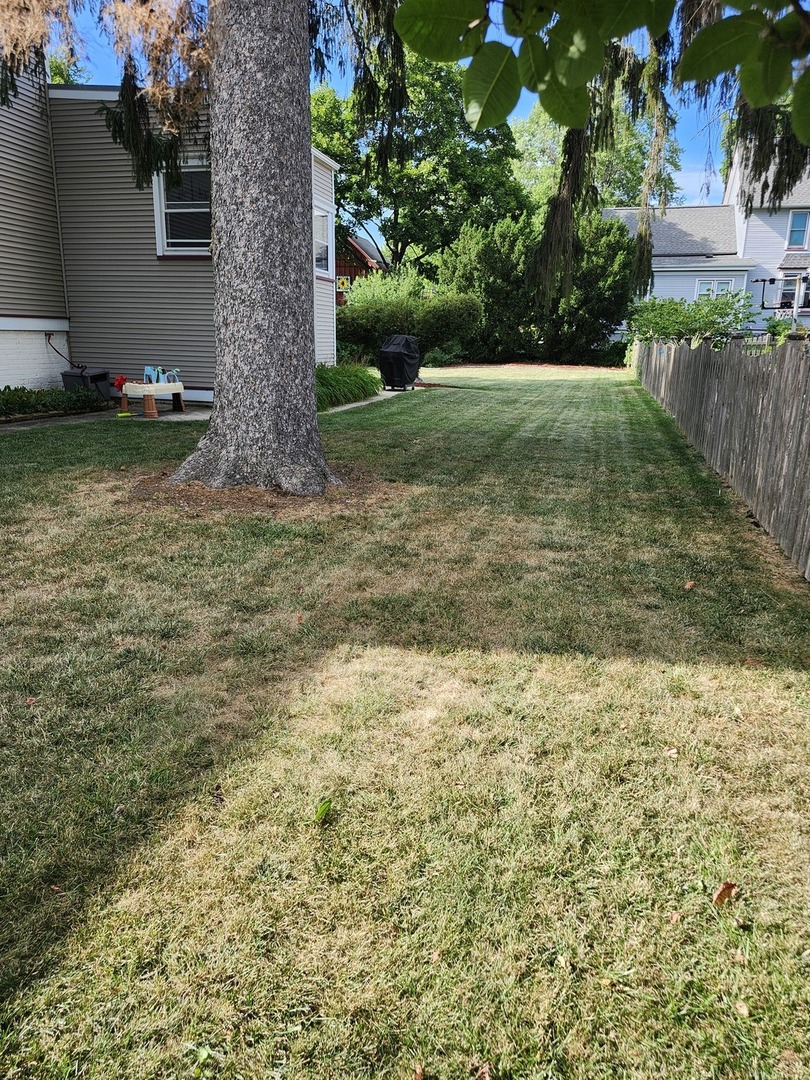 18 E Wood Street, Palatine, IL 60067