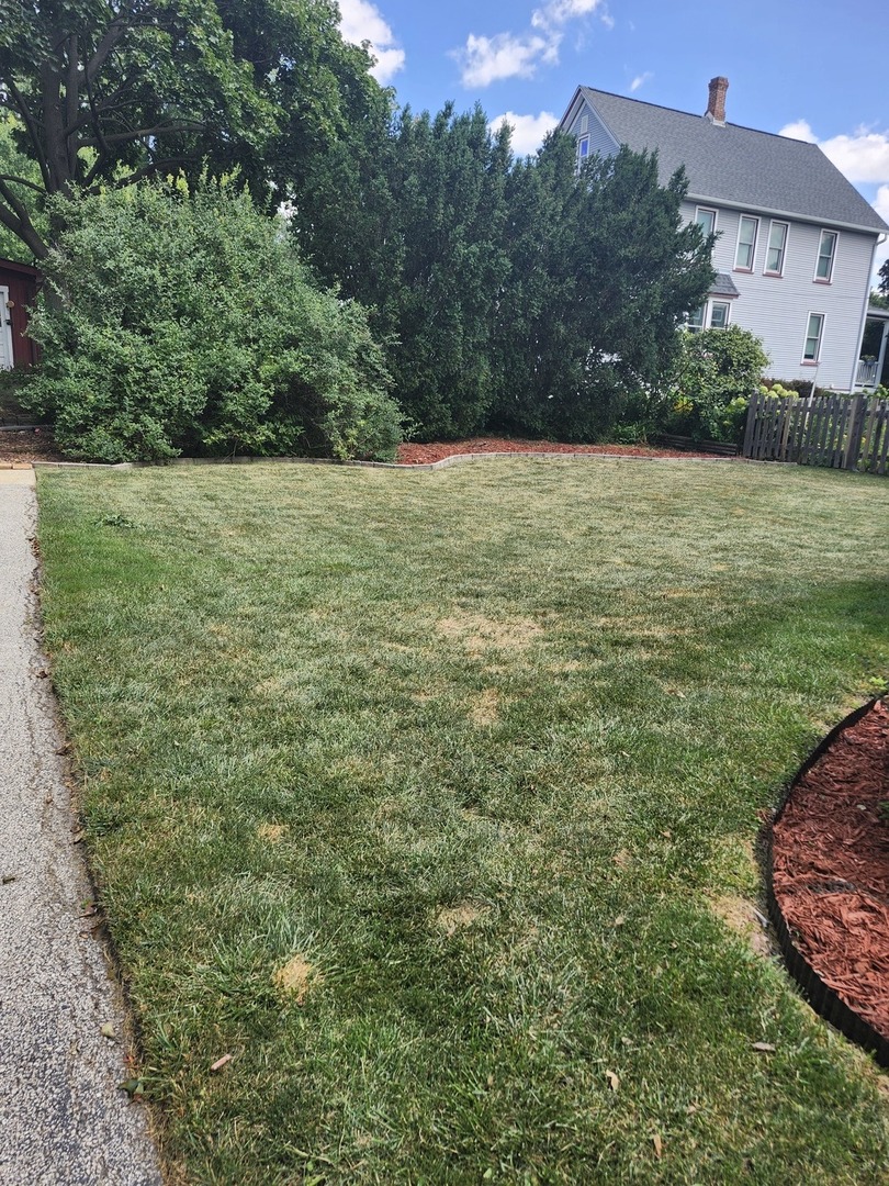 18 E Wood Street, Palatine, IL 60067