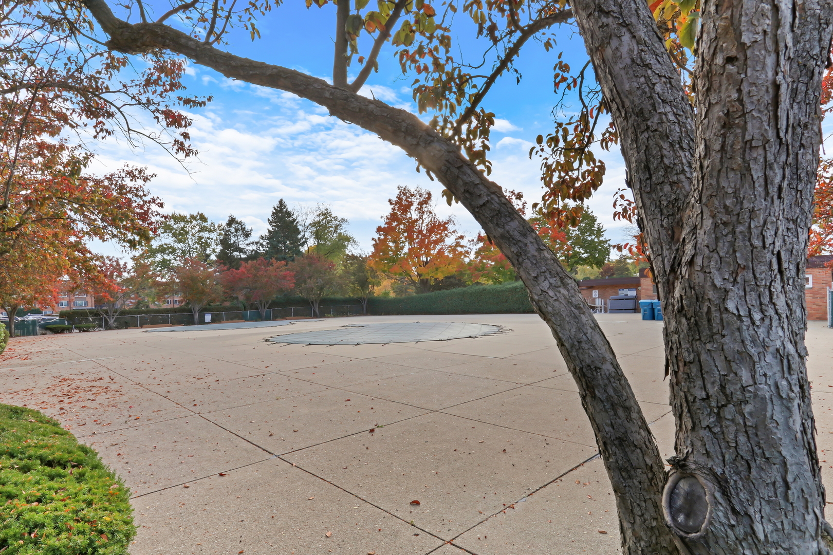 1107 S Old Wilke Road #201, Arlington Heights, IL 60005