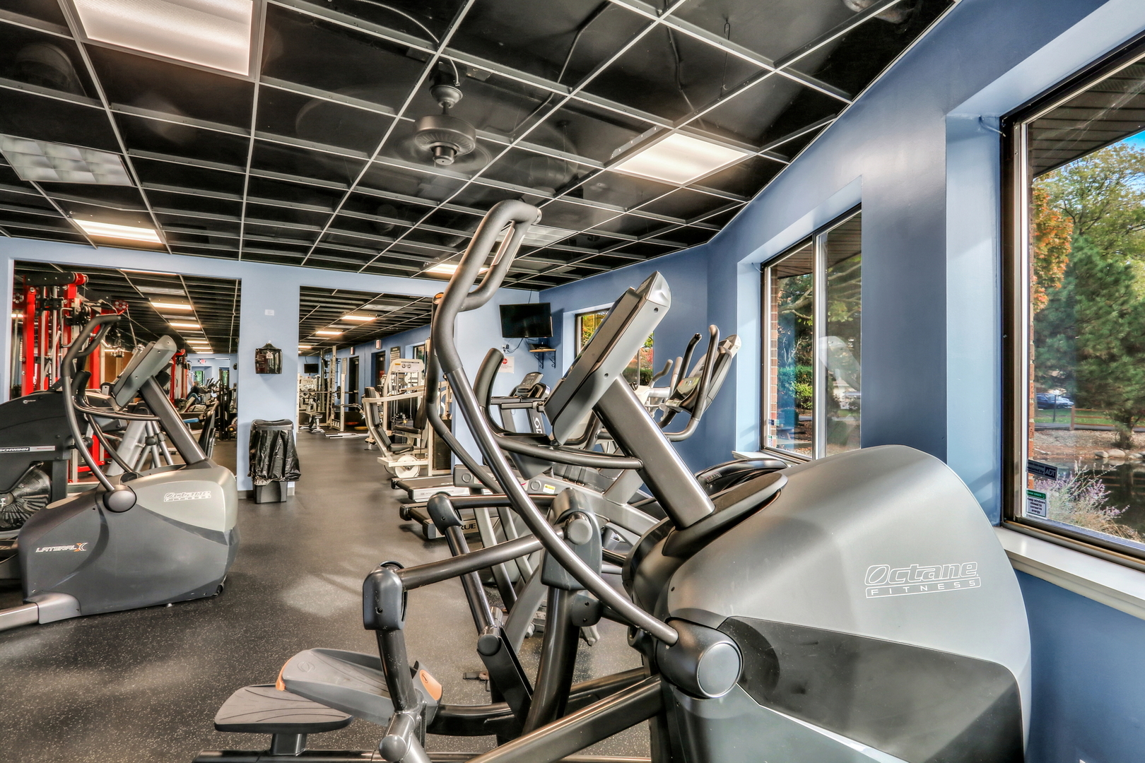 1107 S Old Wilke Road #201, Arlington Heights, IL 60005