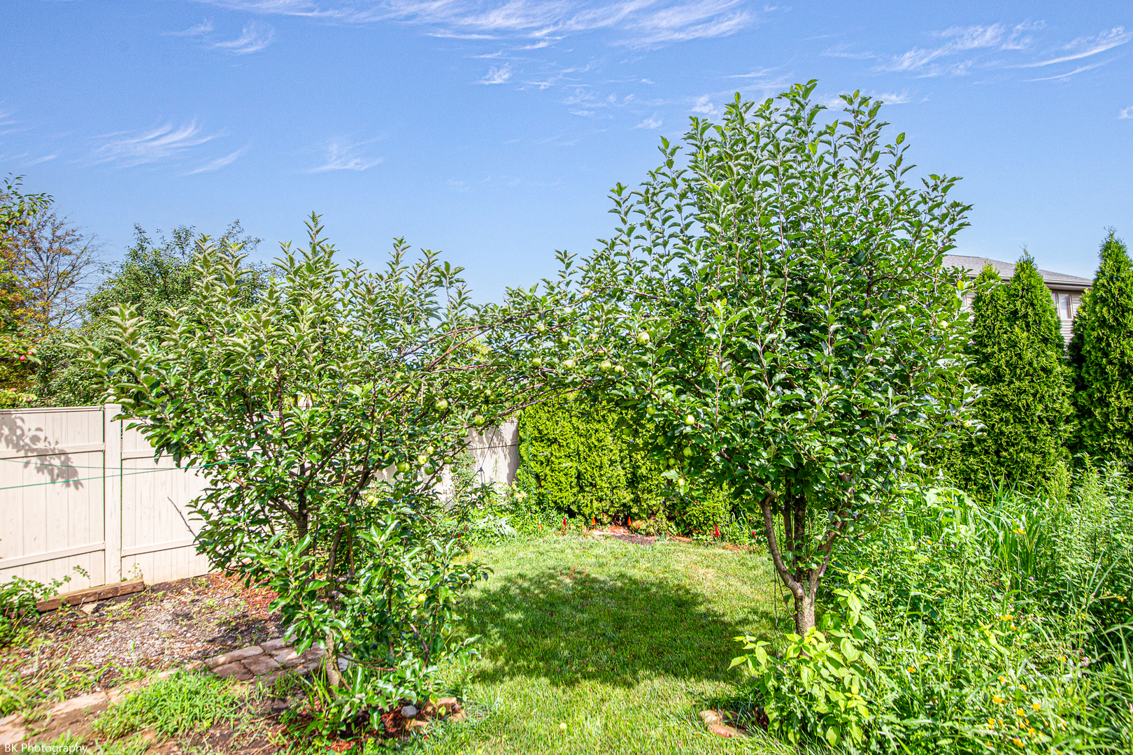 7218 Sandy Lane, Tinley Park, IL 60477