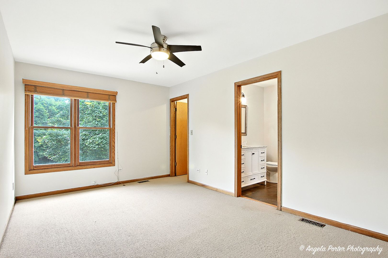 40491 N Goldenrod Lane, Wadsworth, IL 60083