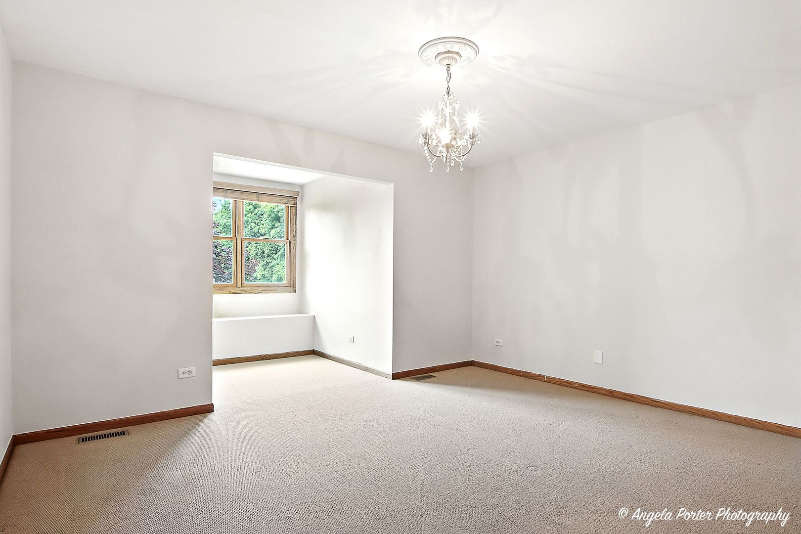 40491 N Goldenrod Lane, Wadsworth, IL 60083