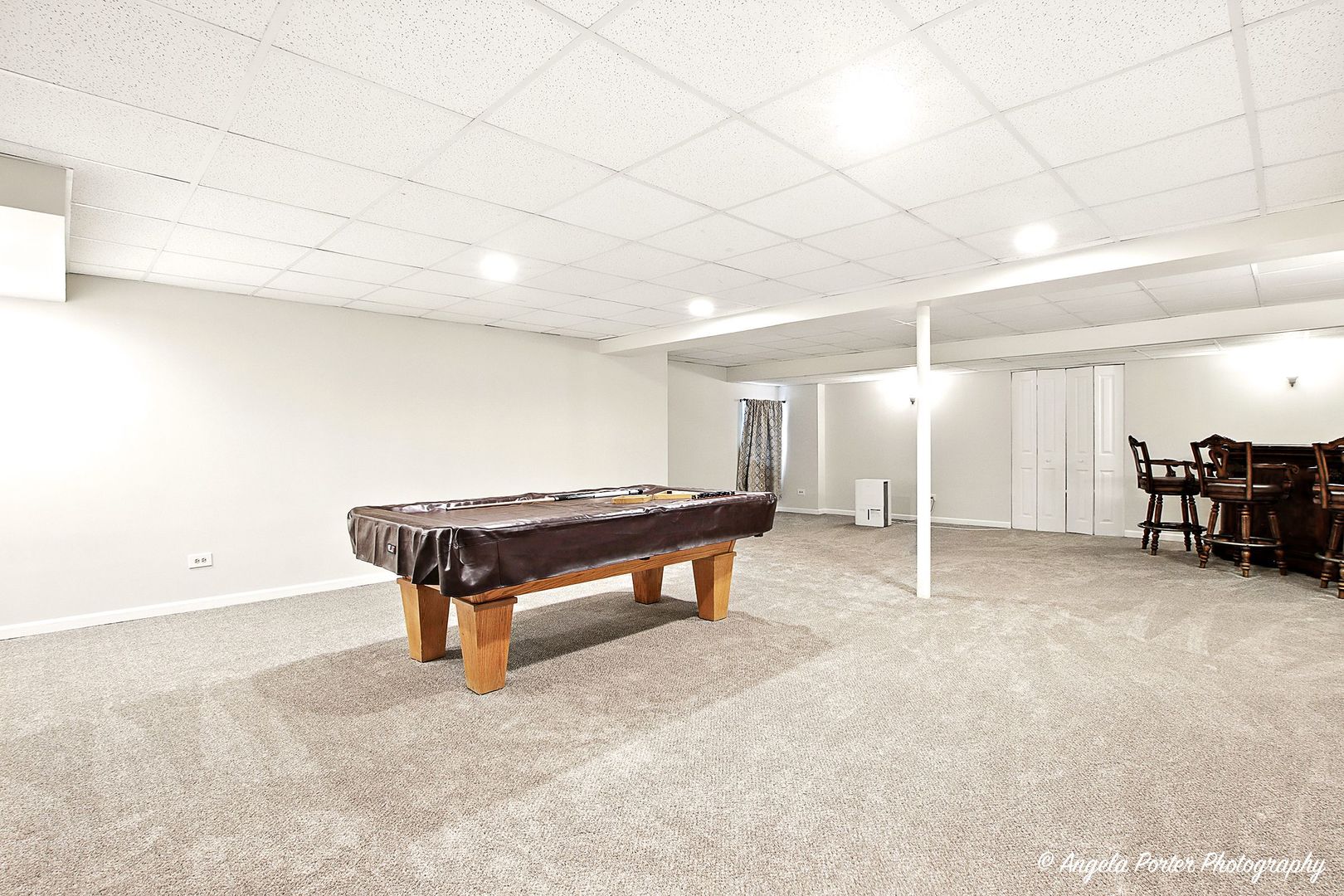 40491 N Goldenrod Lane, Wadsworth, IL 60083
