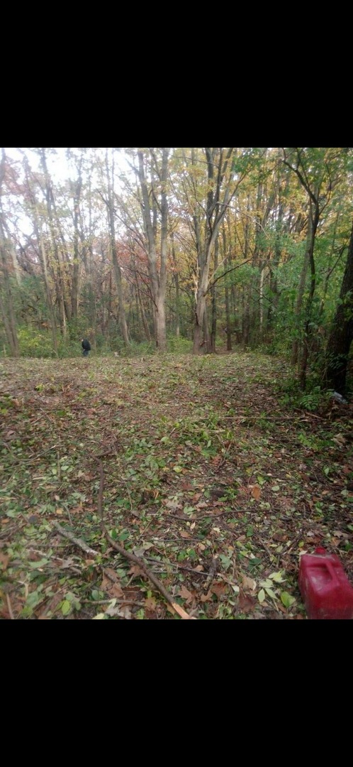 7 Autumn Trail, Barrington Hills, IL 60010