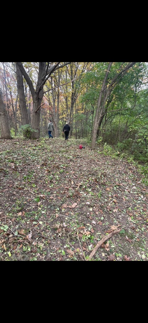 7 Autumn Trail, Barrington Hills, IL 60010