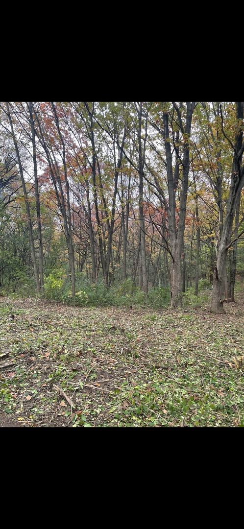 7 Autumn Trail, Barrington Hills, IL 60010