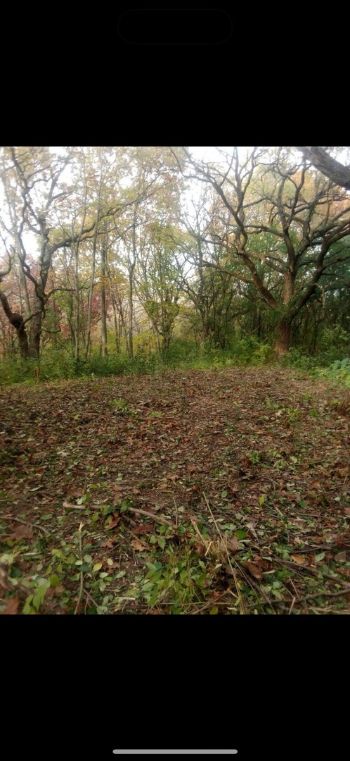 7 Autumn Trail, Barrington Hills, IL 60010