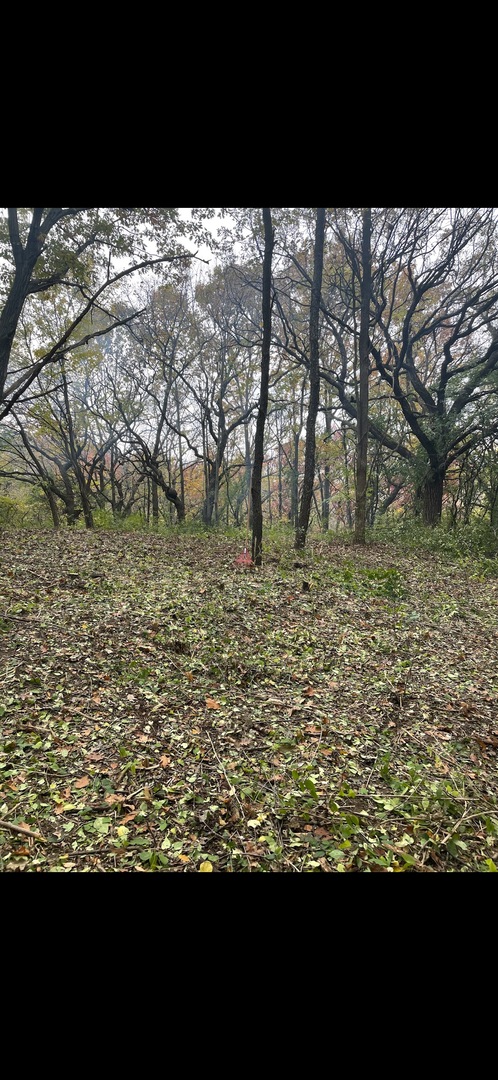 7 Autumn Trail, Barrington Hills, IL 60010