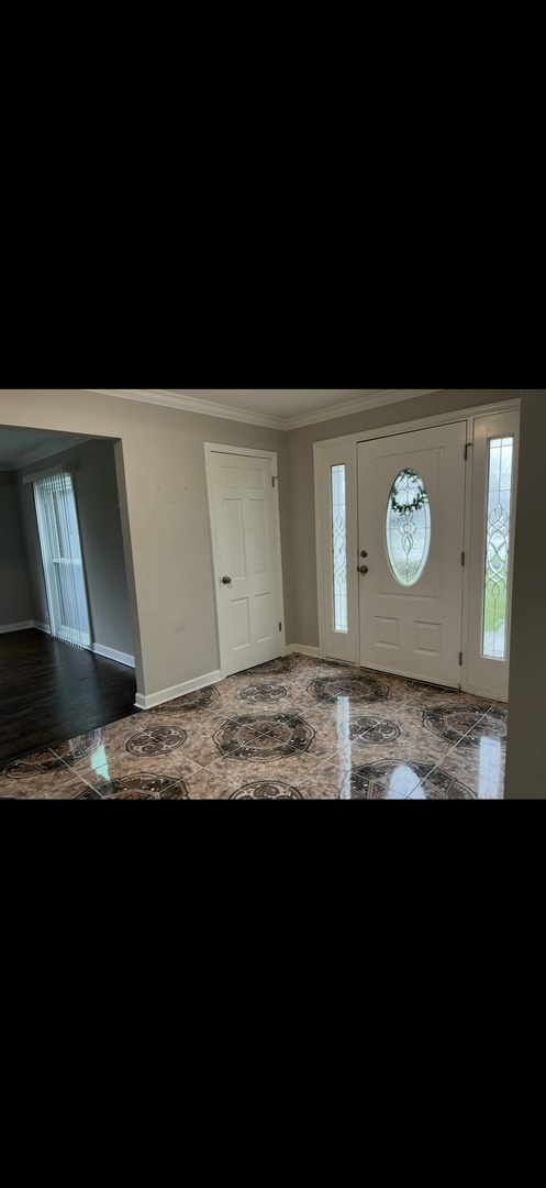 20717 Sparta Court, Olympia Fields, IL 60461