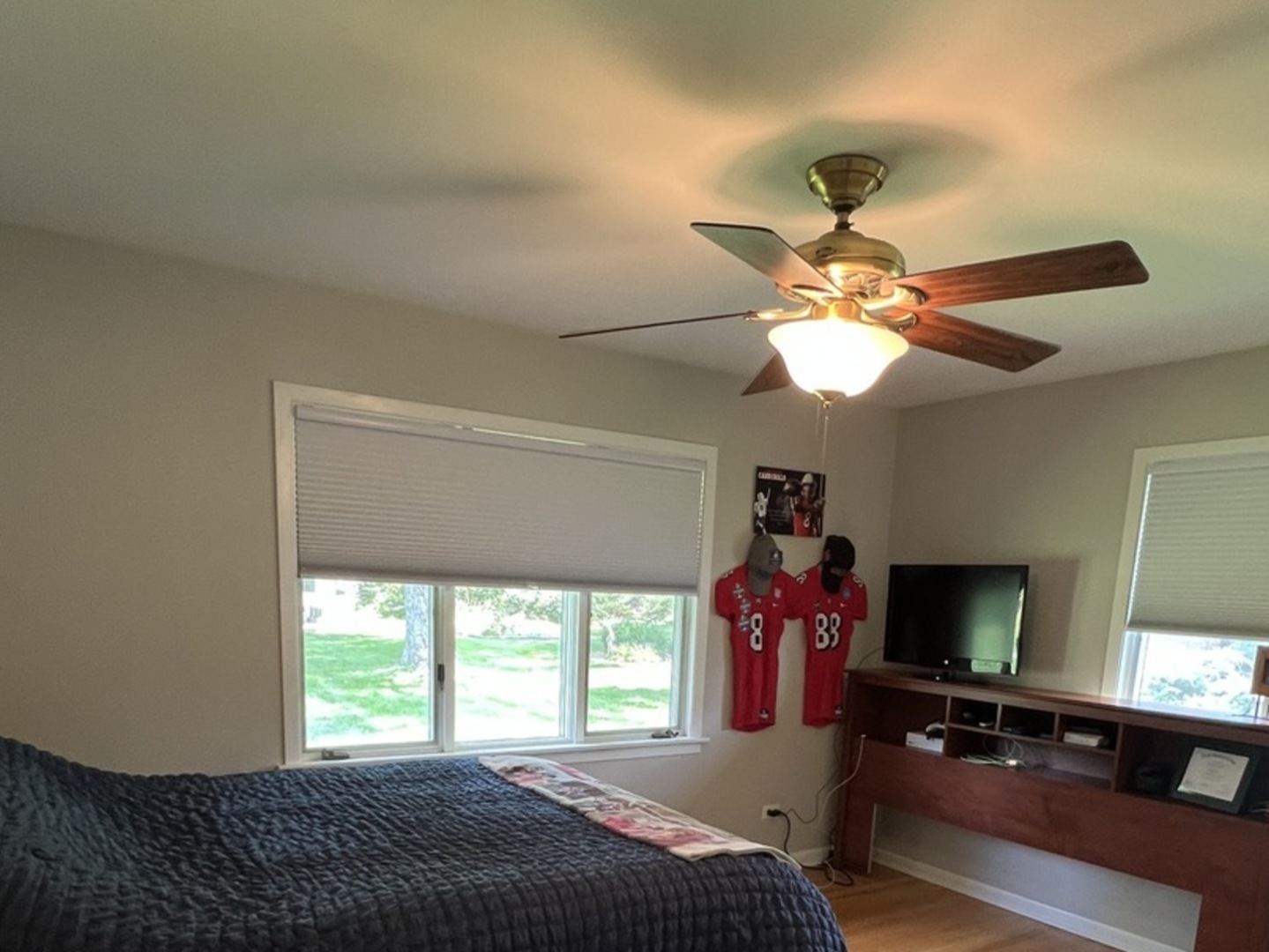 6027 S Lincoln Avenue, Lisle, IL 60532