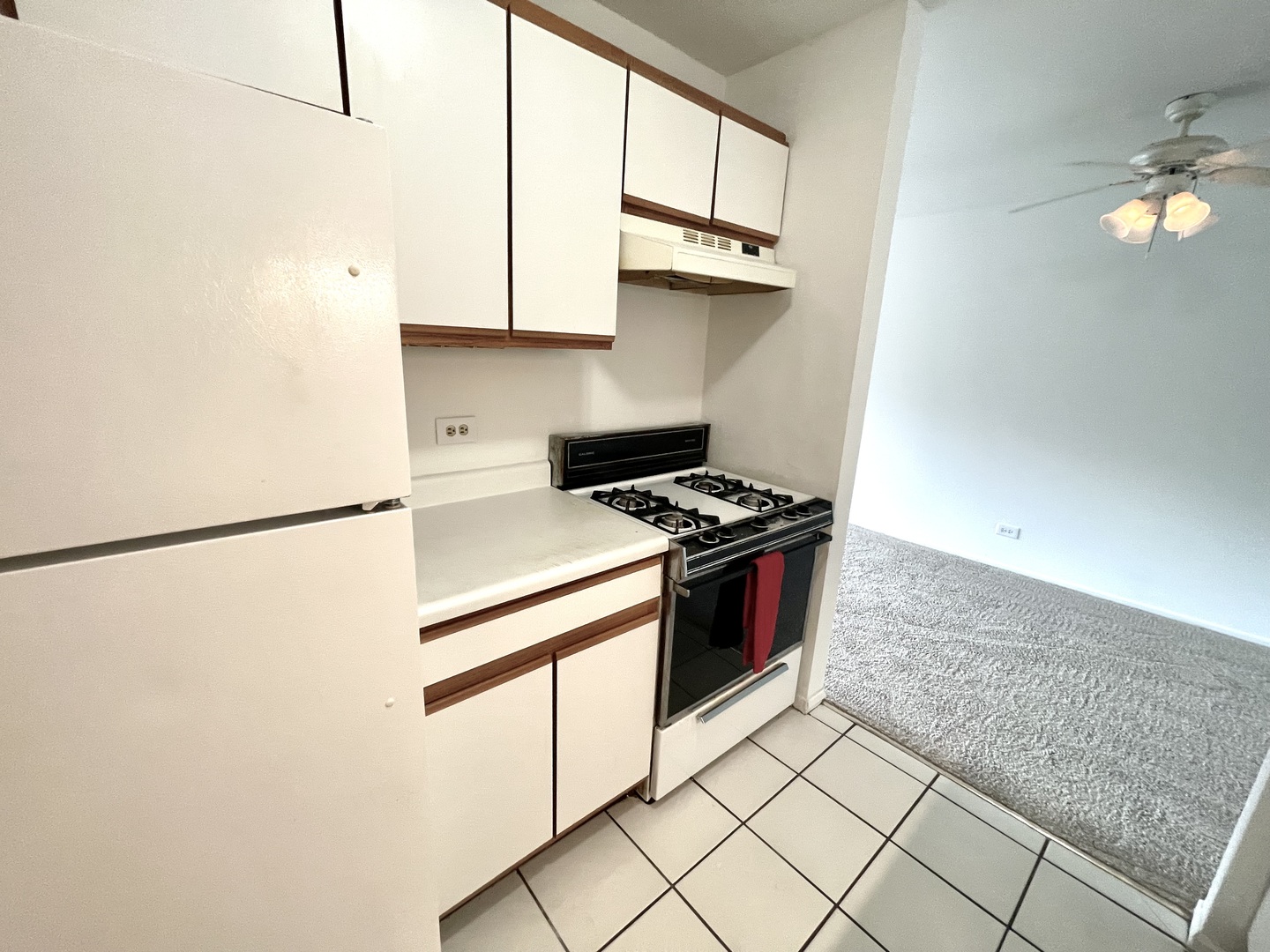 13 Kingery Quarter #106B, Willowbrook, IL 60527