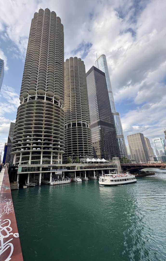 300 N State Street #5011, Chicago, IL 60654