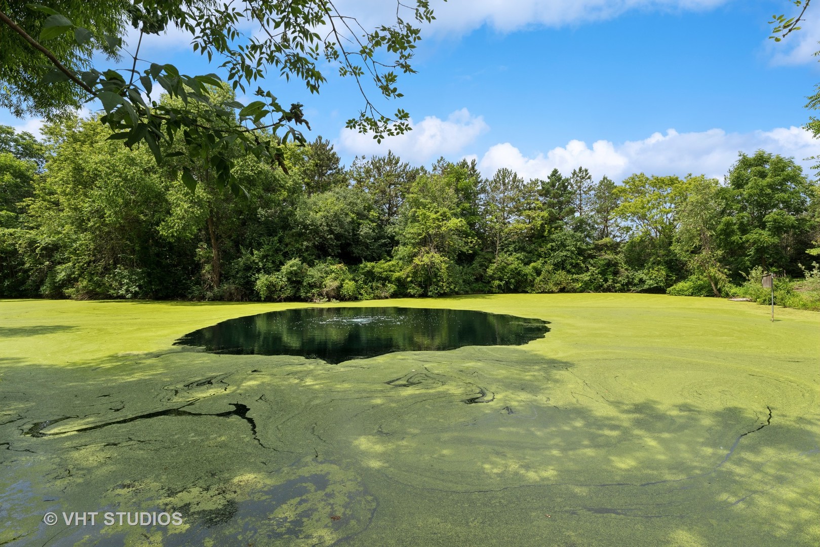 1305 Gavin Court, Lake Forest, IL 60045