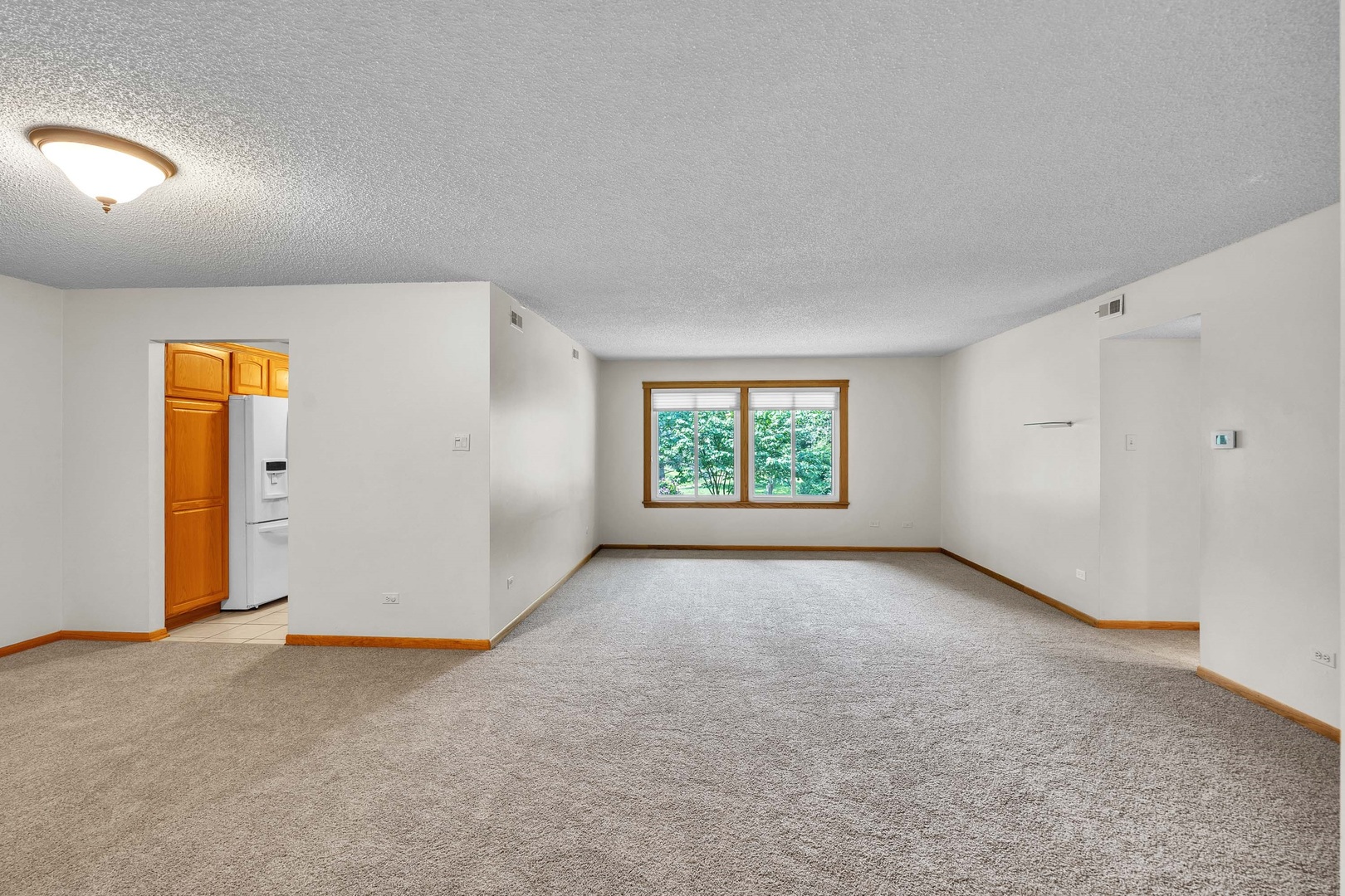11210 S Cherry Court #52A, Palos Hills, IL 60465