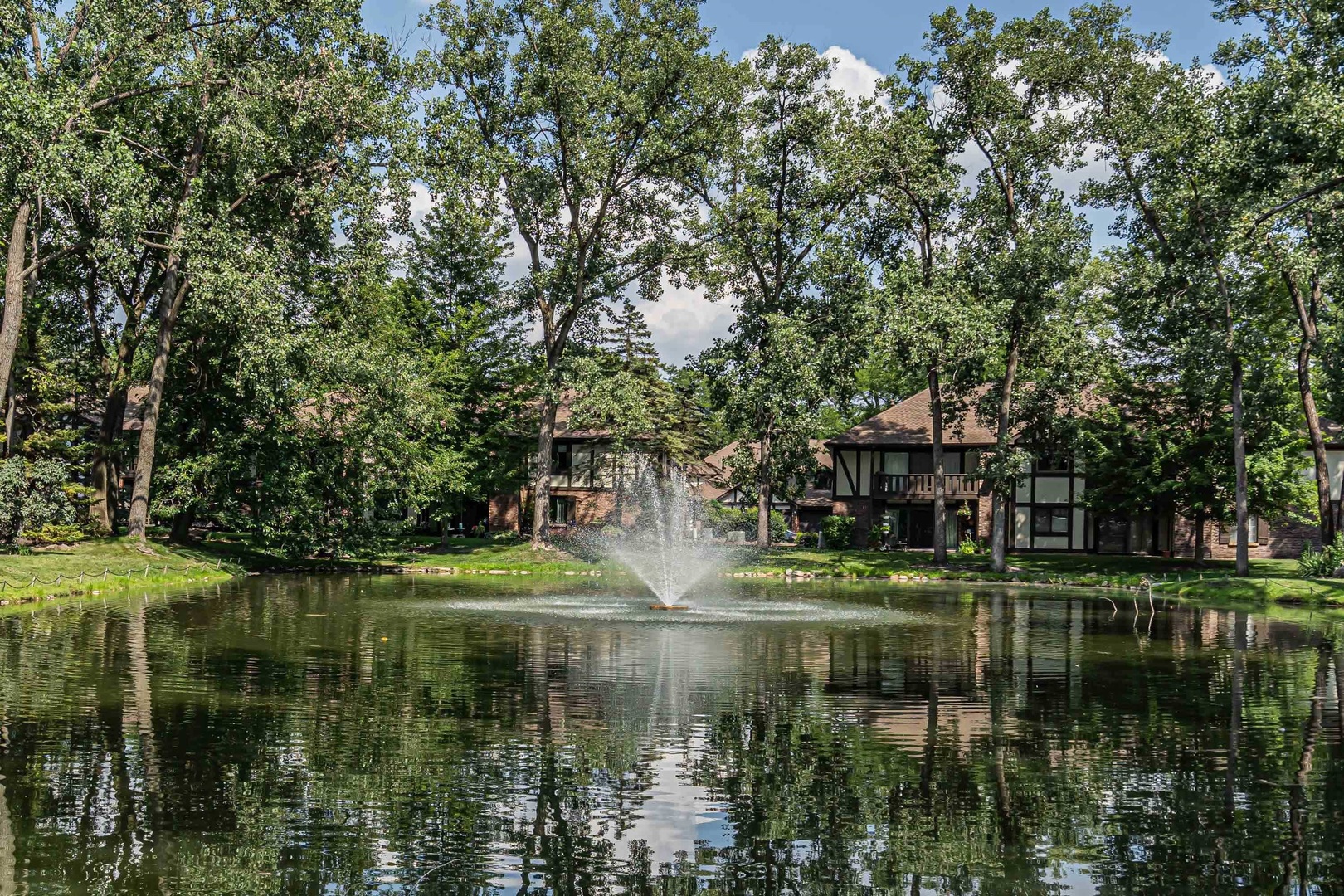 11210 S Cherry Court #52A, Palos Hills, IL 60465