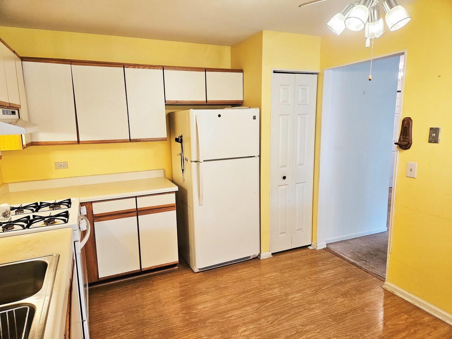 21 Rob Roy Lane #D, Prospect Heights, IL 60070