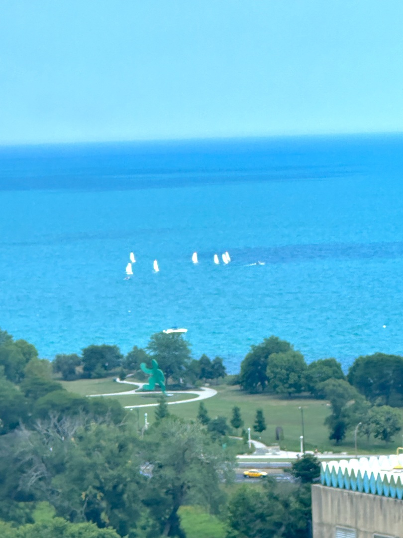 330 W Diversey Parkway #2509, Chicago, IL 60657