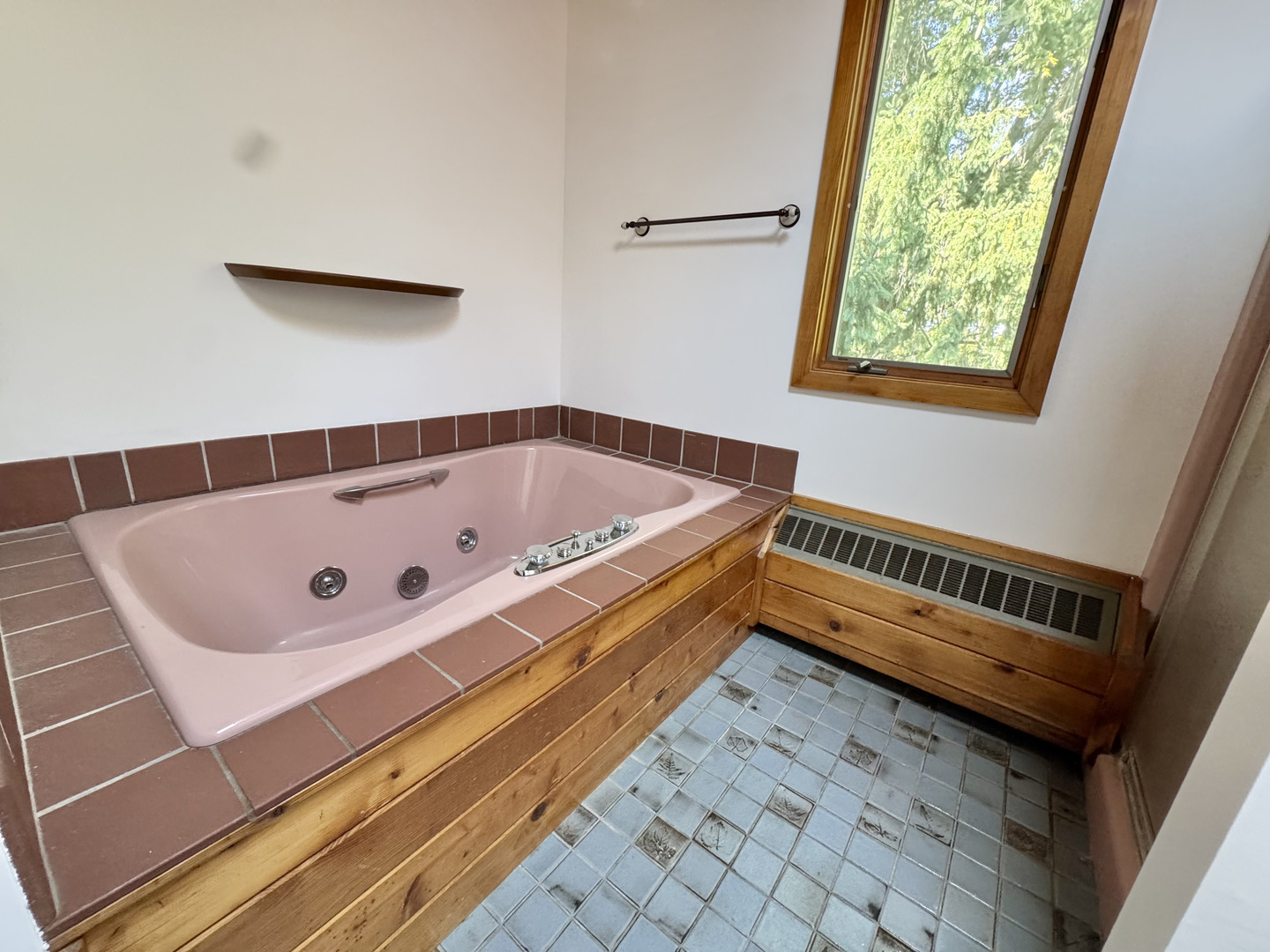 100 E Miller Avenue, Hinckley, IL 60520